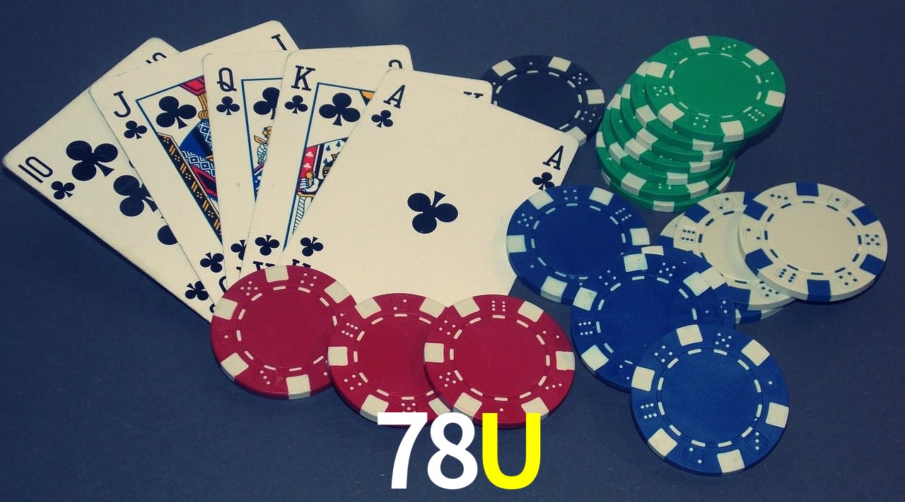 Performance App 78U